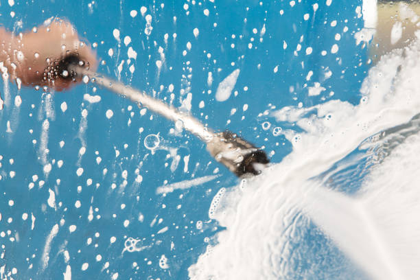 Best Dumpster Area Cleaning  in Lemon Hill, CA